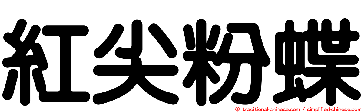 紅尖粉蝶