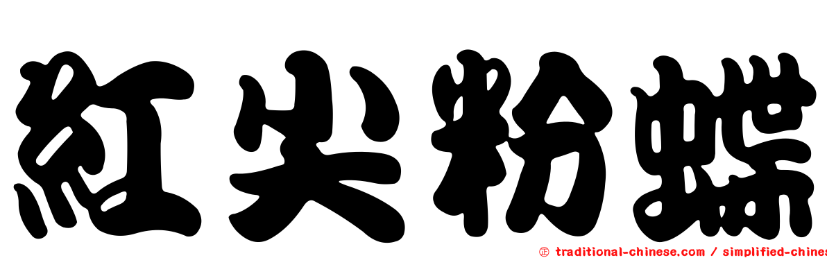 紅尖粉蝶