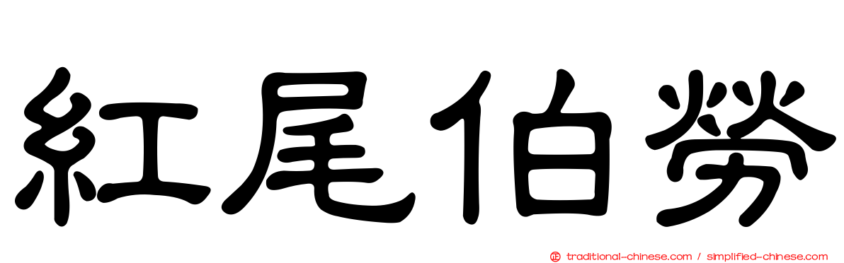 紅尾伯勞