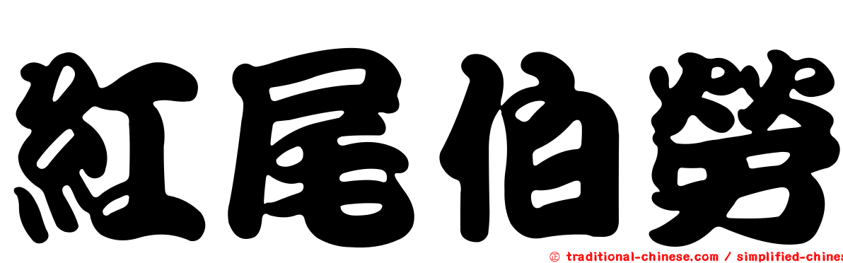 紅尾伯勞