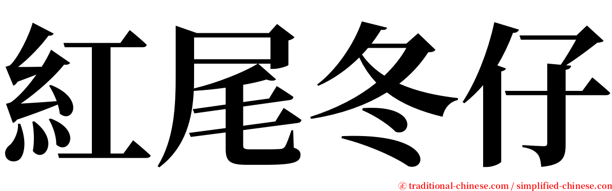 紅尾冬仔 serif font