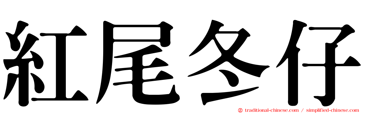 紅尾冬仔
