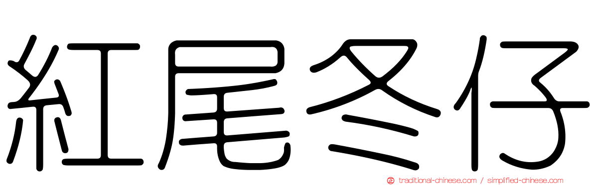 紅尾冬仔