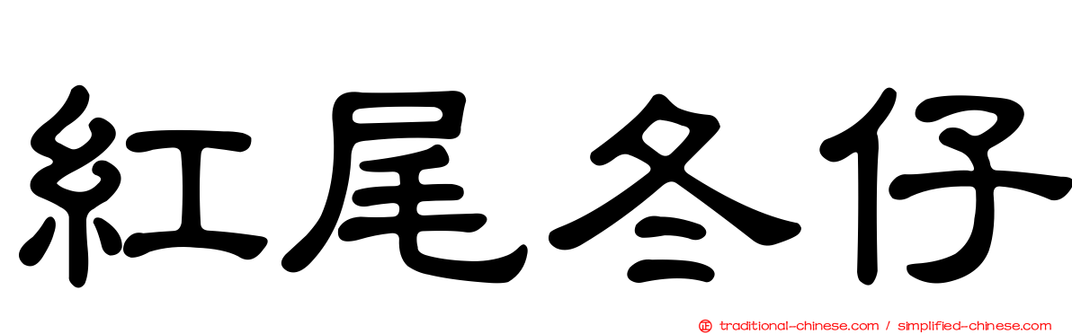 紅尾冬仔