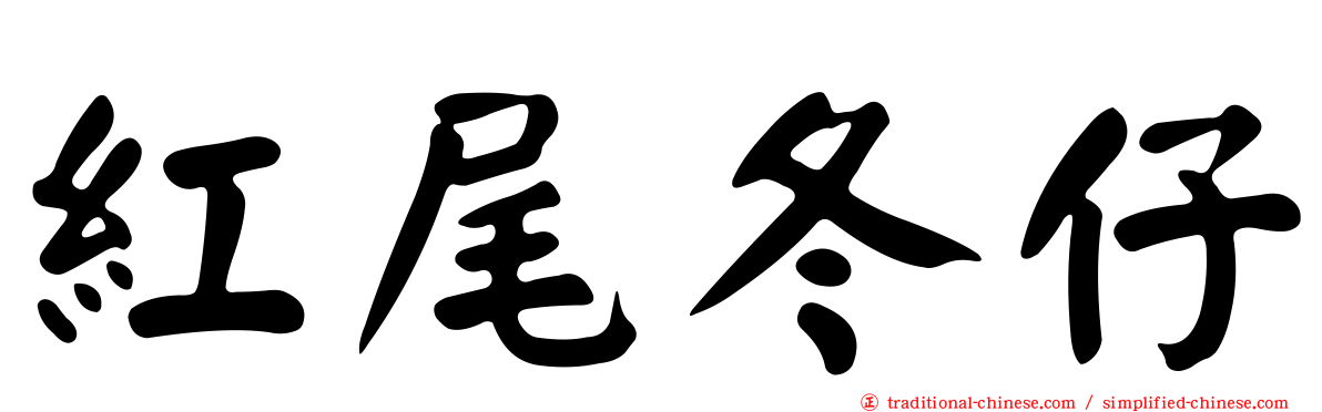 紅尾冬仔