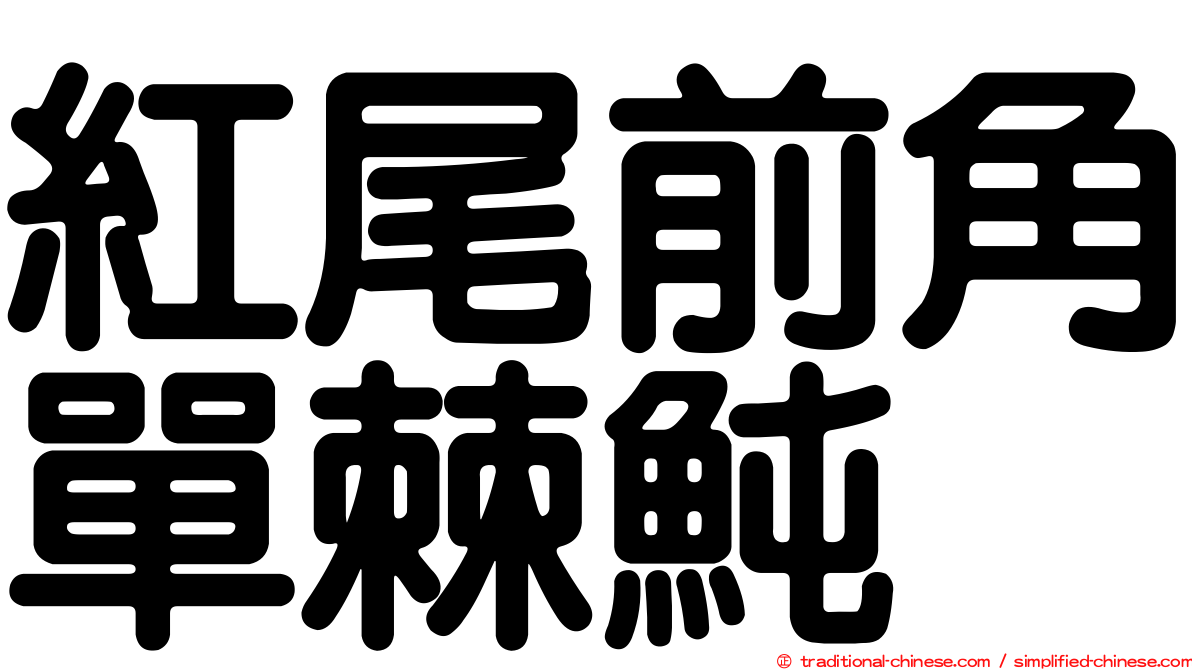 紅尾前角單棘魨