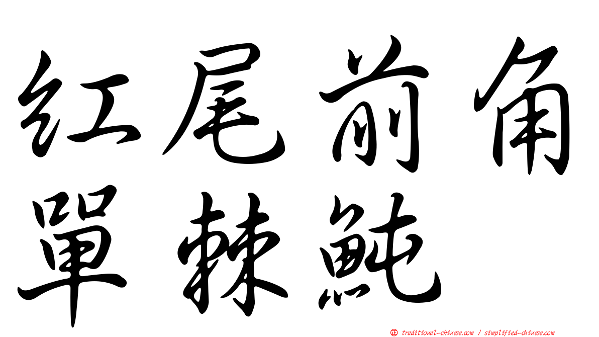 紅尾前角單棘魨