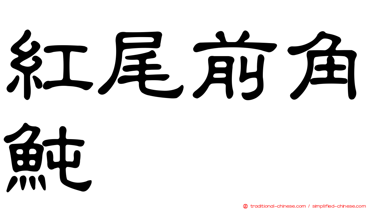 紅尾前角魨