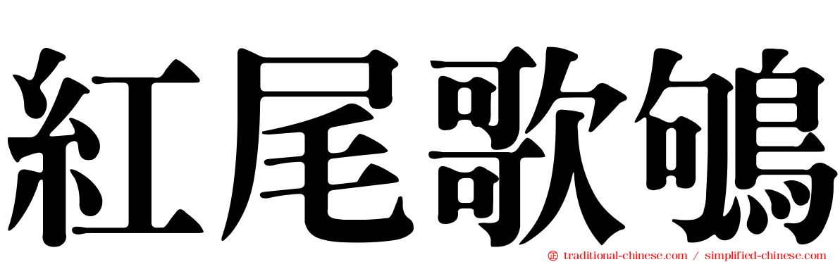 紅尾歌鴝