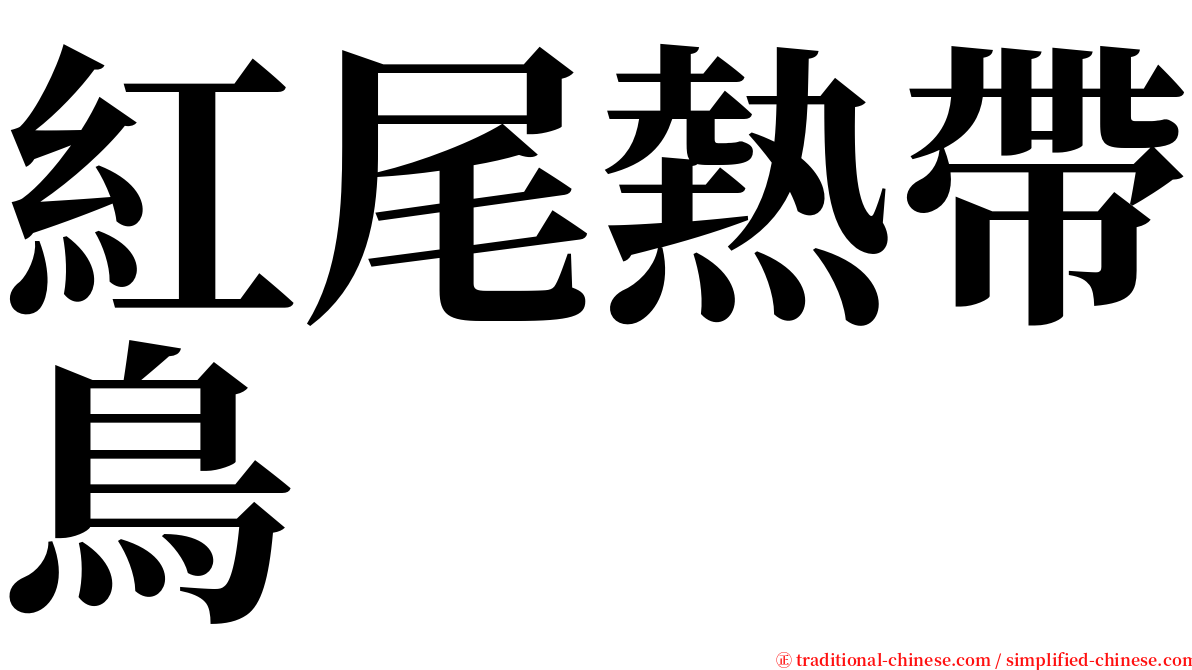 紅尾熱帶鳥 serif font