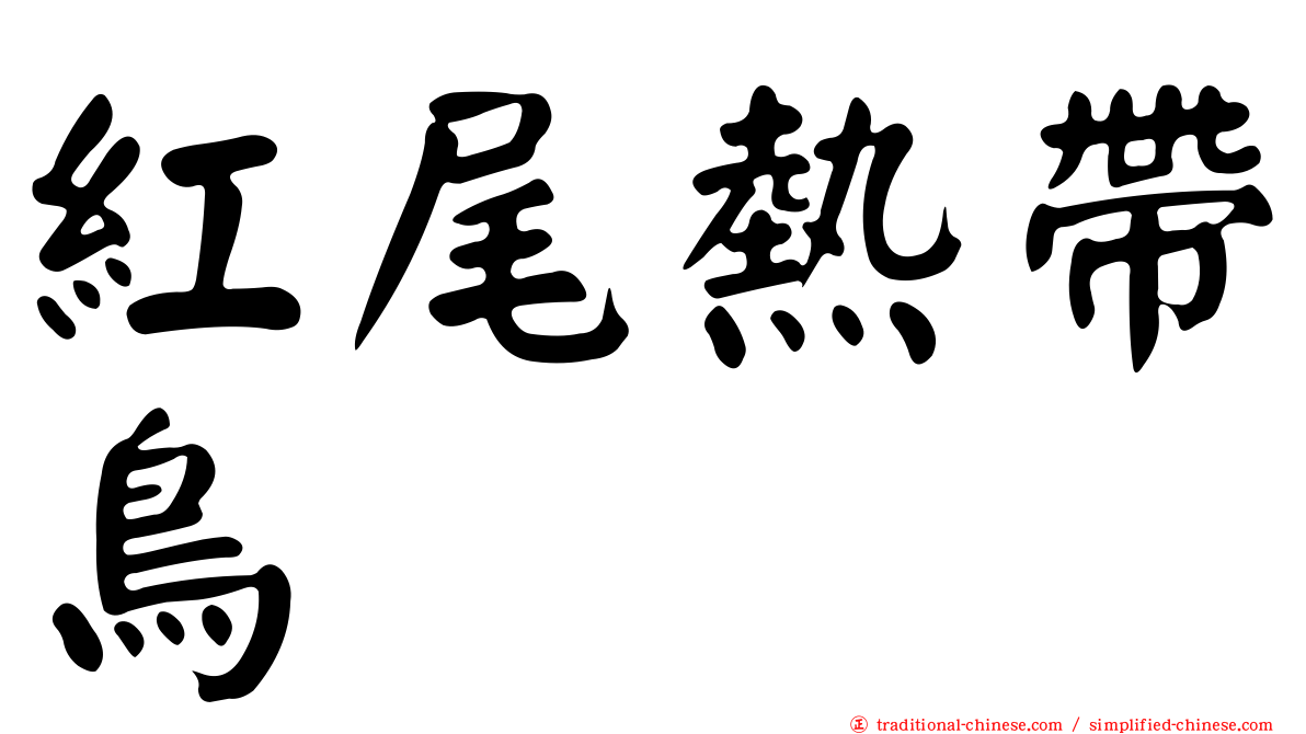 紅尾熱帶鳥