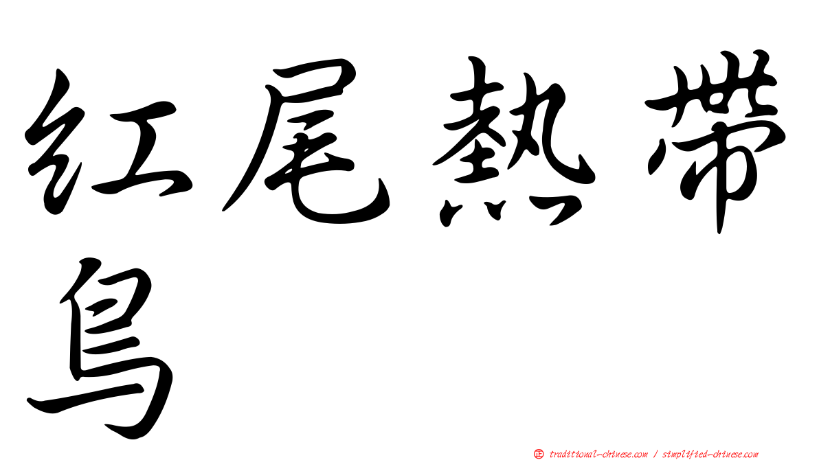 紅尾熱帶鳥