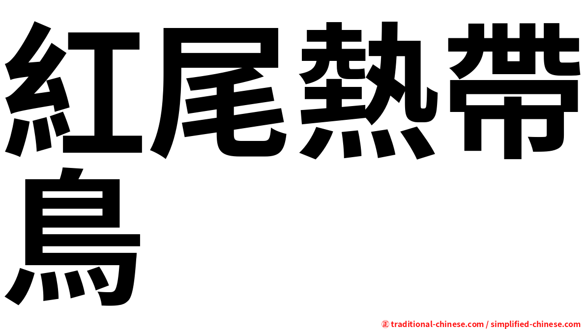 紅尾熱帶鳥