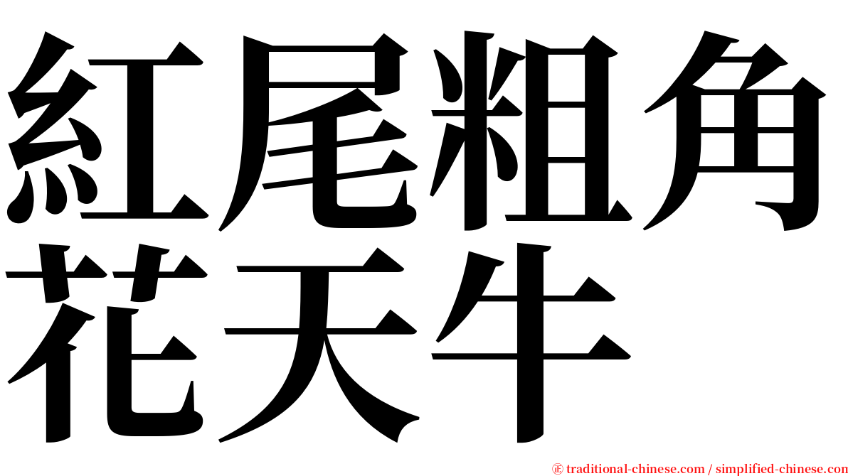 紅尾粗角花天牛 serif font