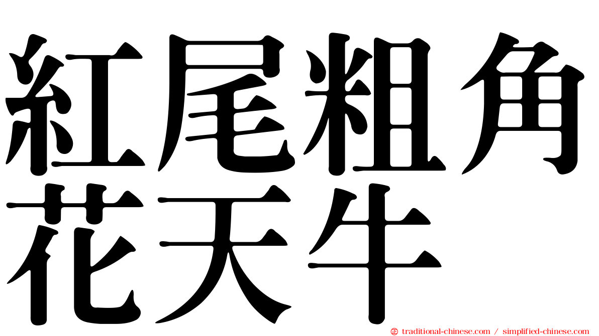 紅尾粗角花天牛