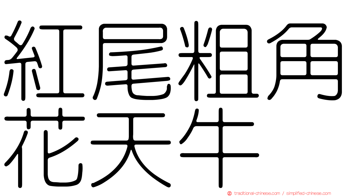紅尾粗角花天牛