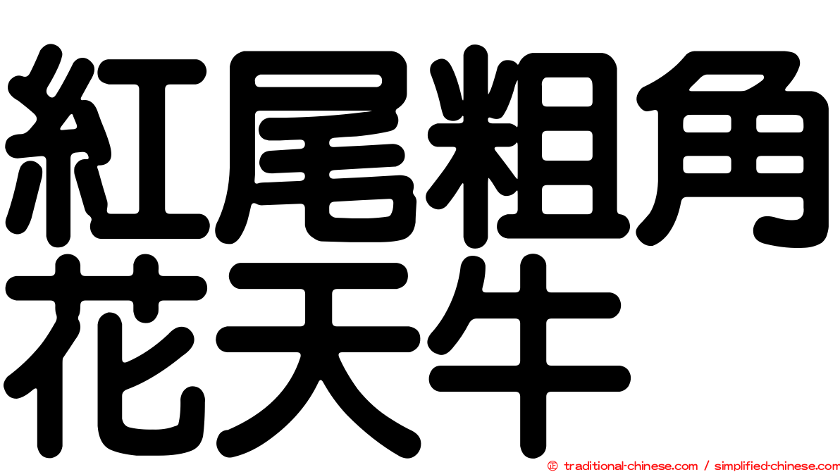 紅尾粗角花天牛