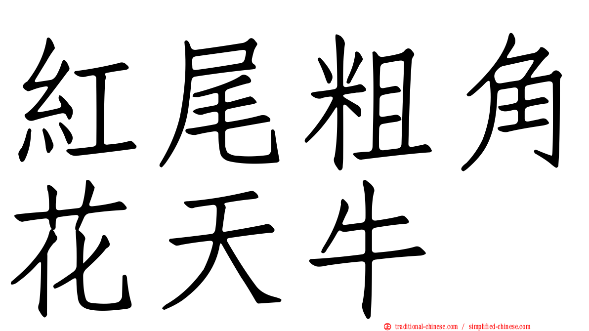 紅尾粗角花天牛