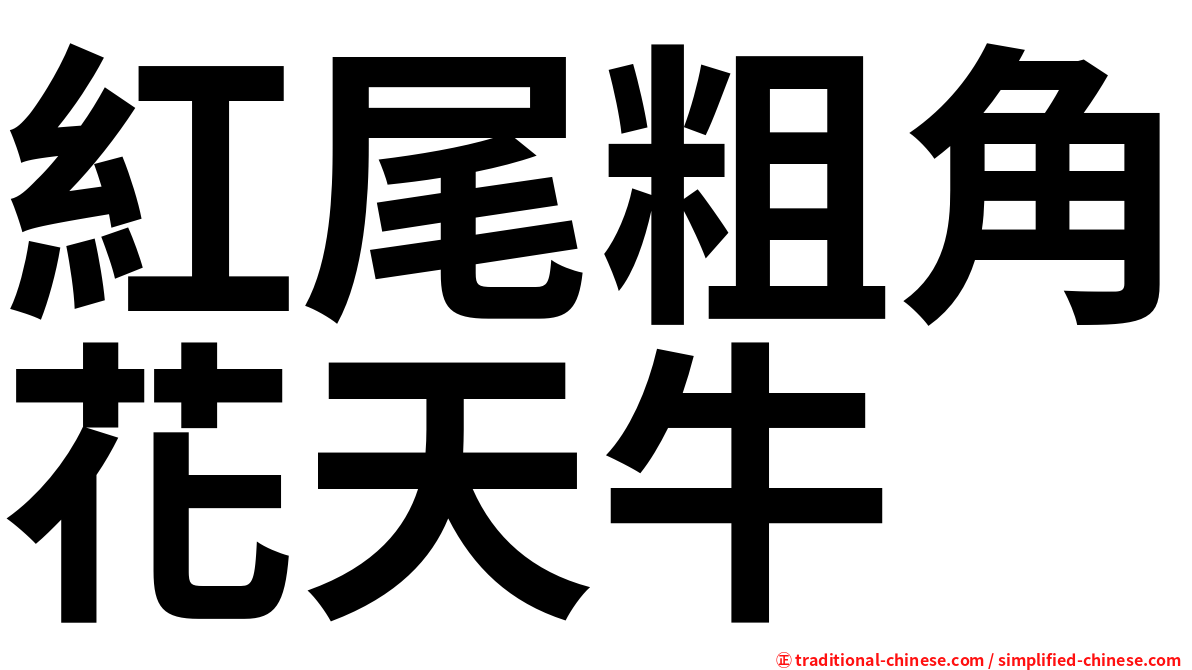 紅尾粗角花天牛