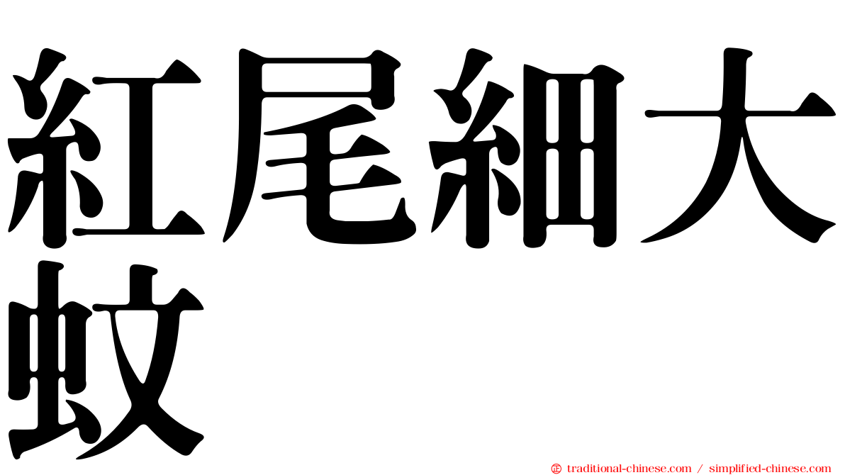 紅尾細大蚊