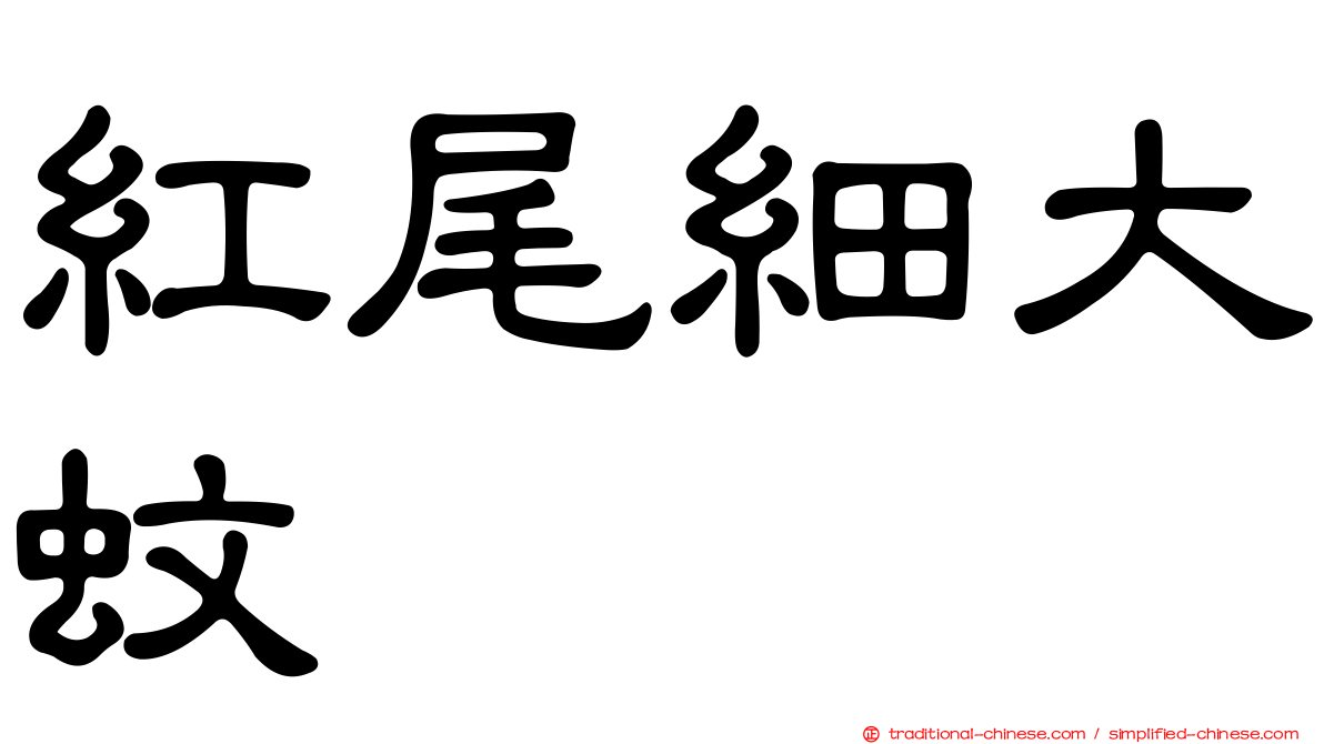 紅尾細大蚊