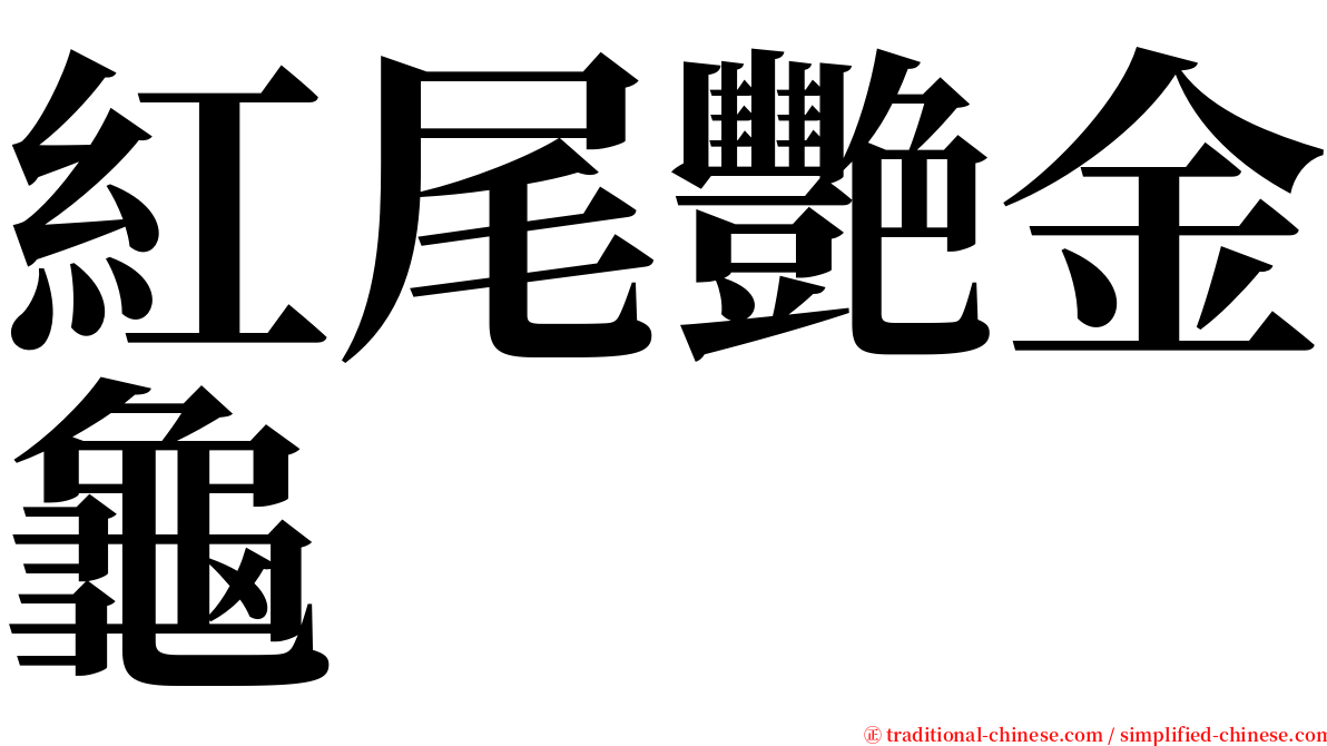 紅尾艷金龜 serif font