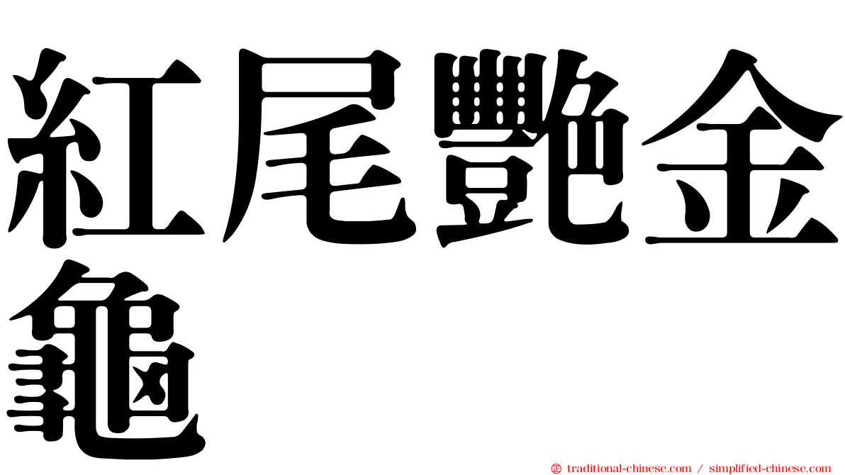 紅尾艷金龜