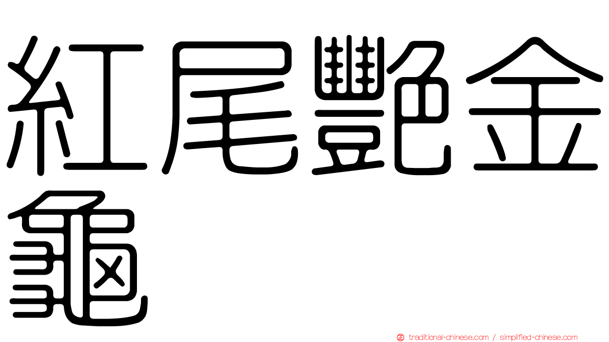 紅尾艷金龜