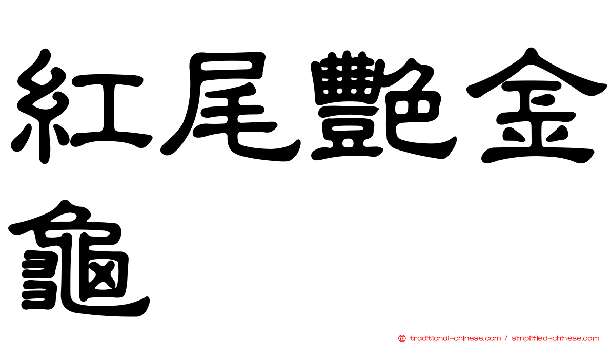 紅尾艷金龜