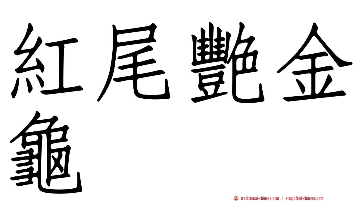 紅尾艷金龜
