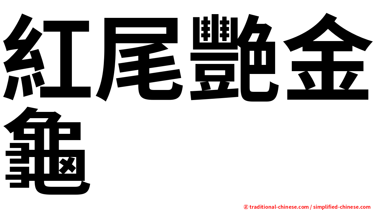紅尾艷金龜