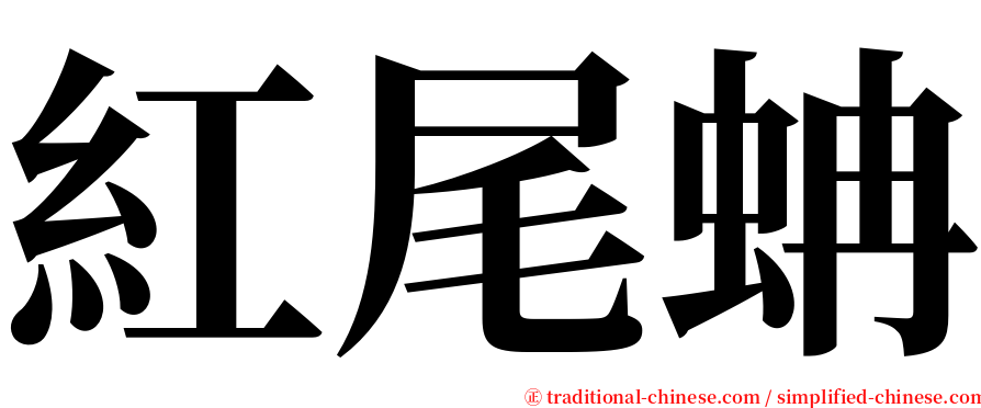 紅尾蚺 serif font
