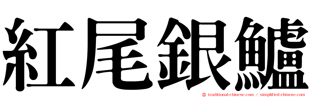 紅尾銀鱸