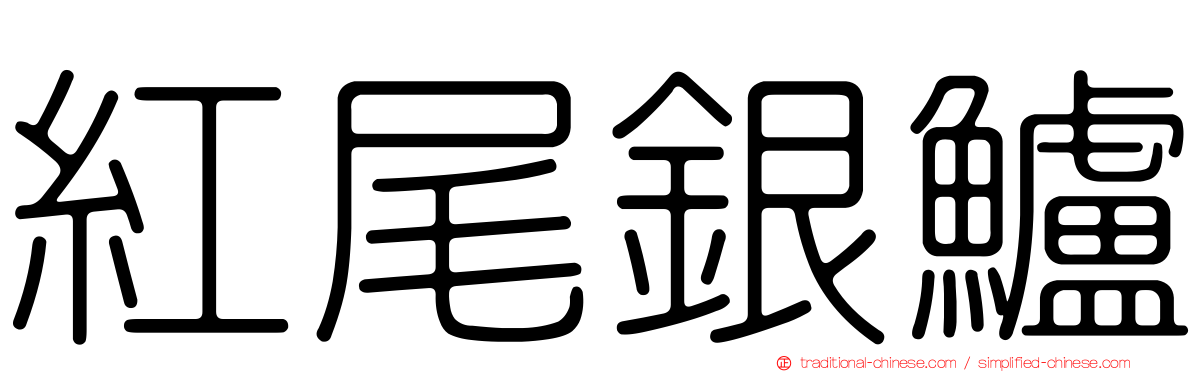 紅尾銀鱸
