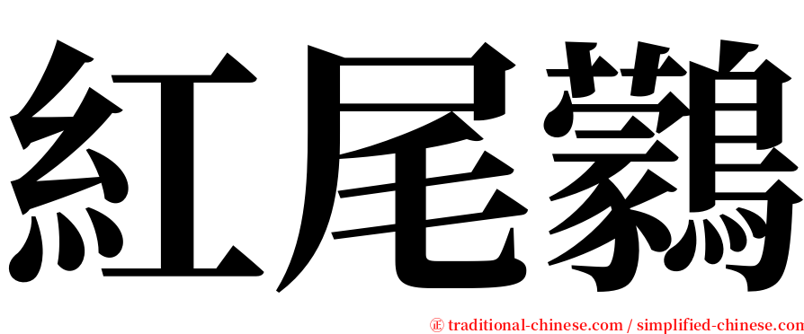 紅尾鸏 serif font