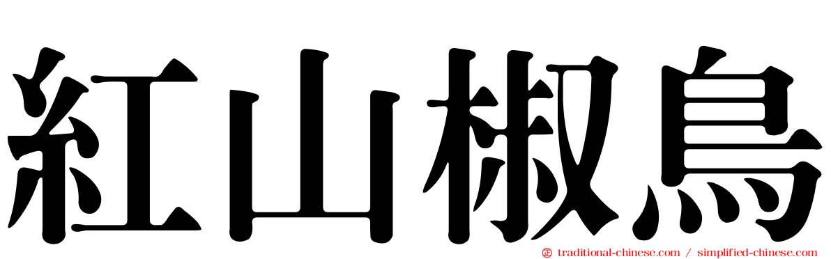 紅山椒鳥