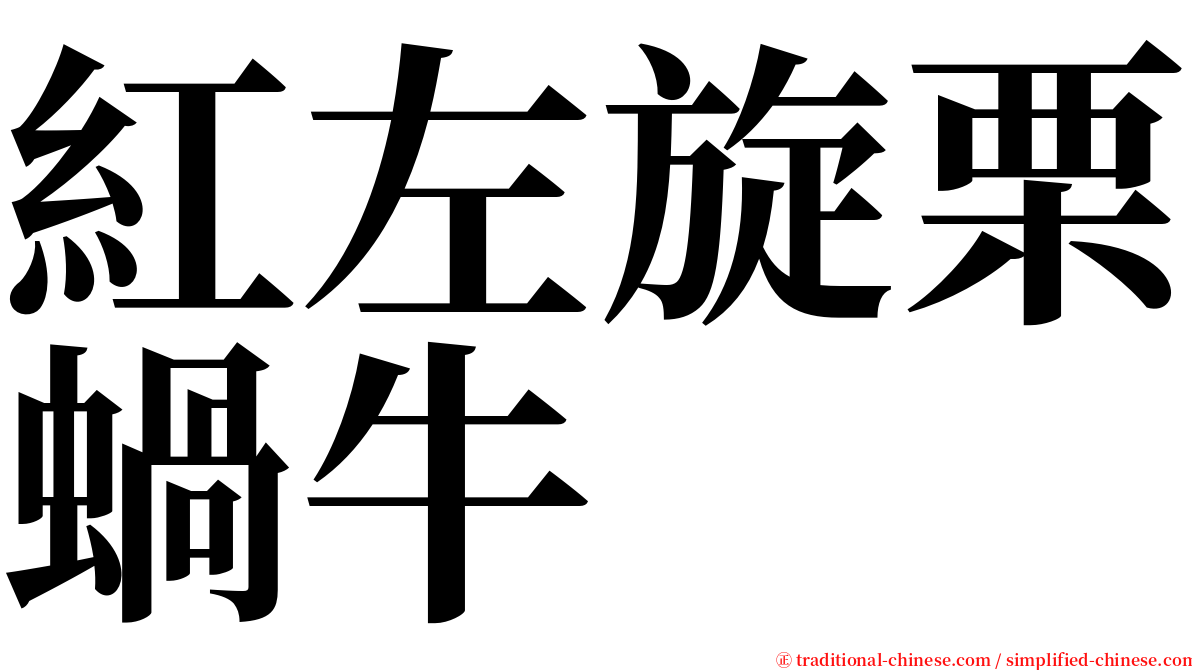紅左旋栗蝸牛 serif font
