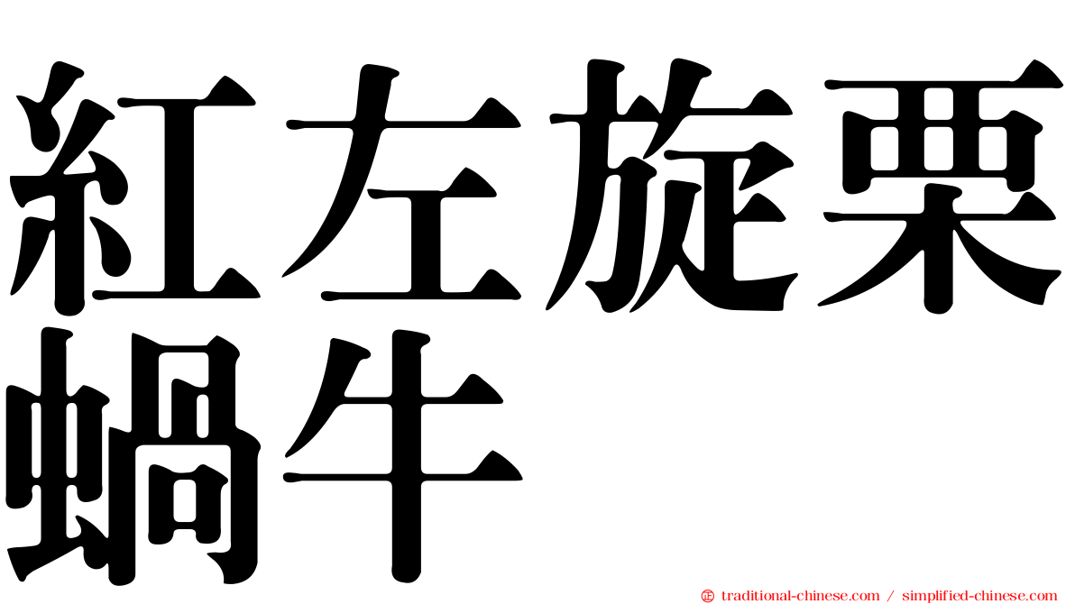 紅左旋栗蝸牛