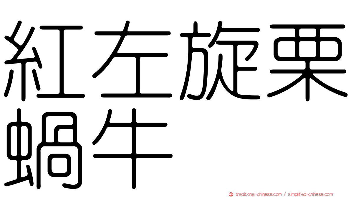 紅左旋栗蝸牛