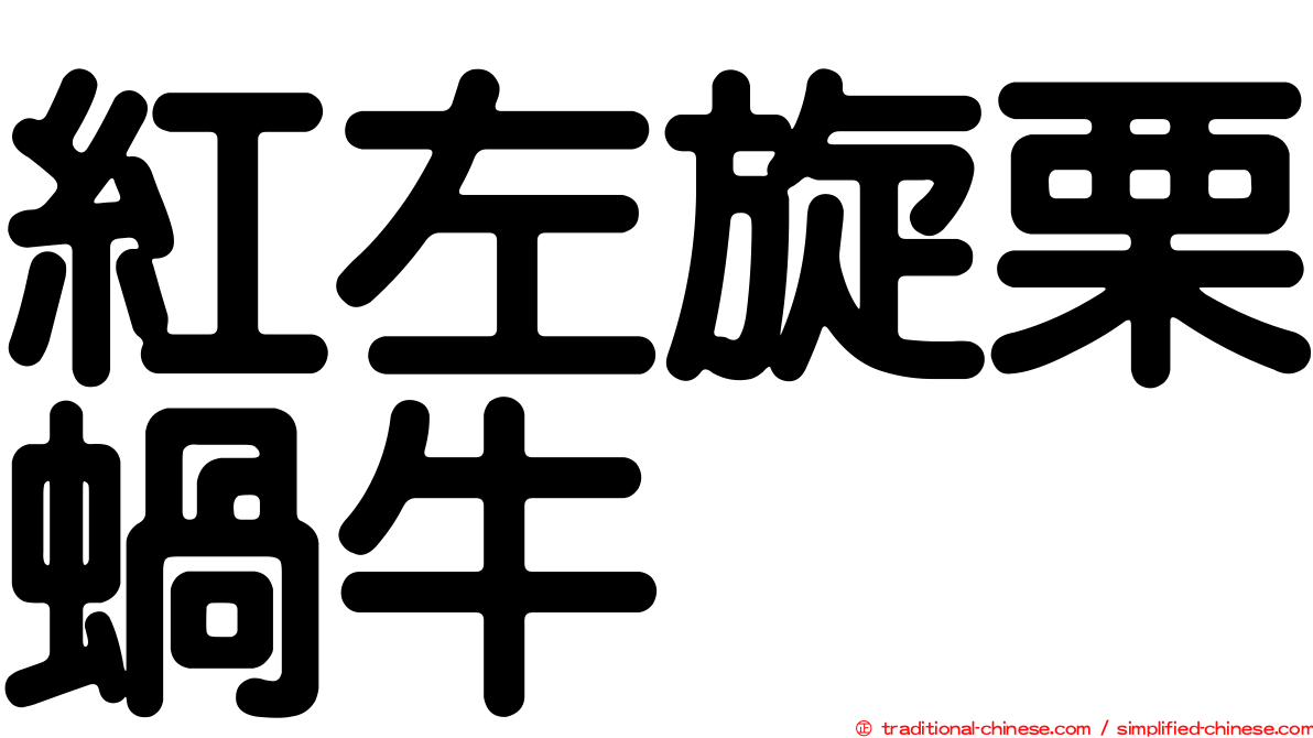 紅左旋栗蝸牛