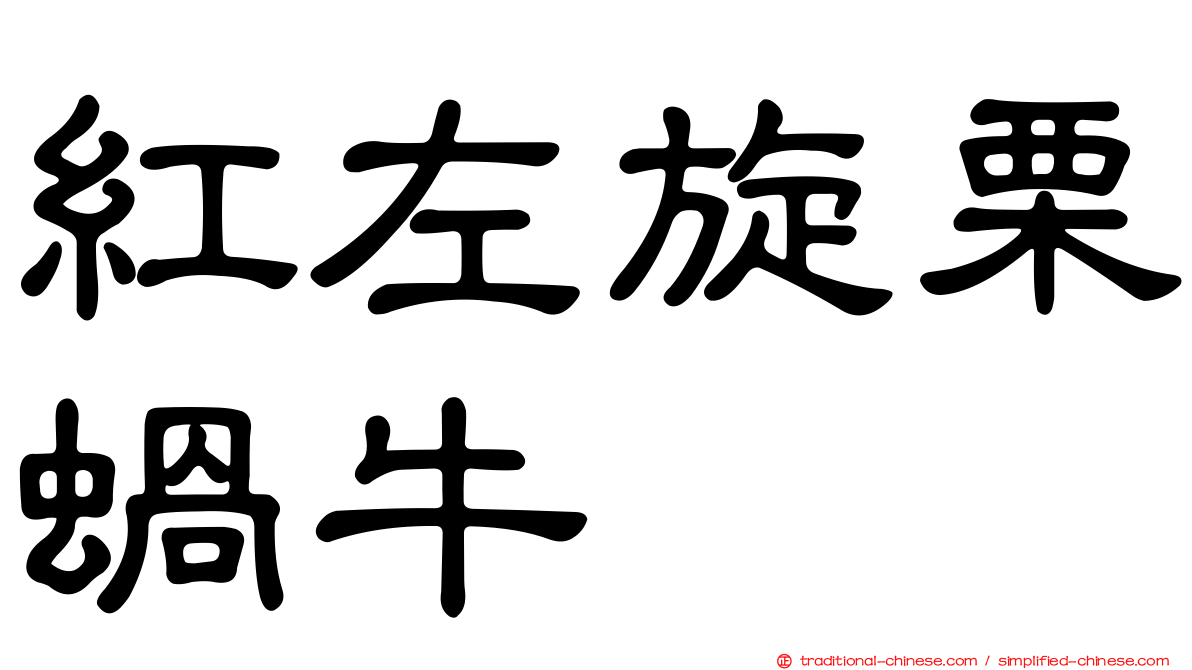 紅左旋栗蝸牛