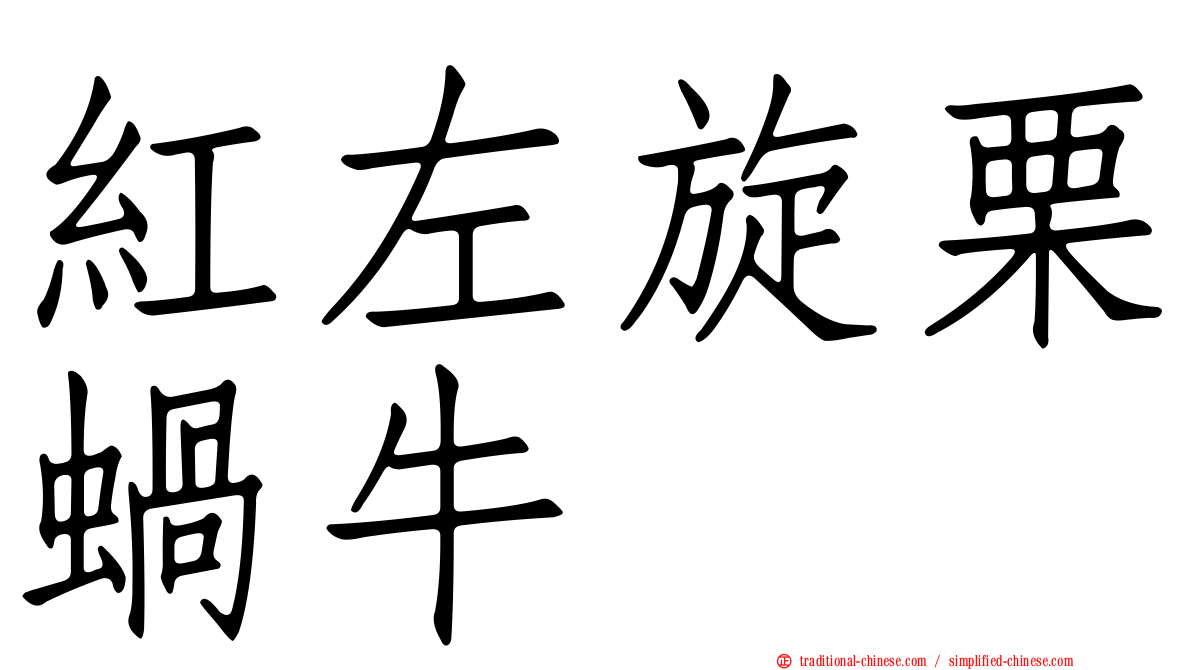 紅左旋栗蝸牛