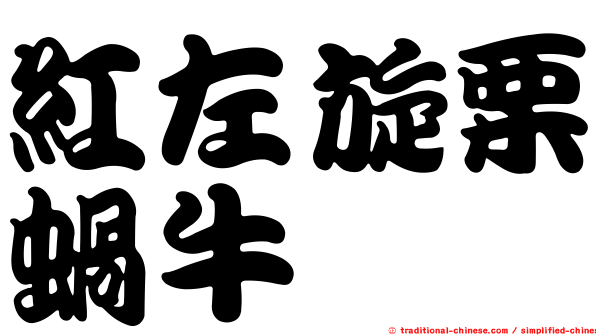 紅左旋栗蝸牛