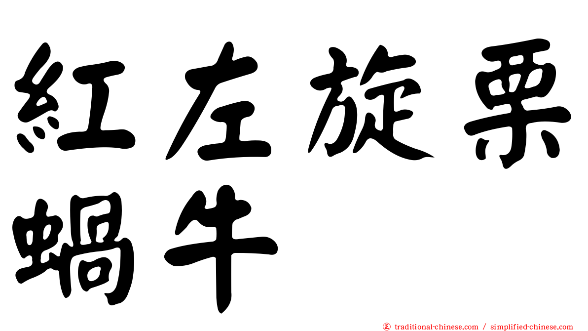 紅左旋栗蝸牛