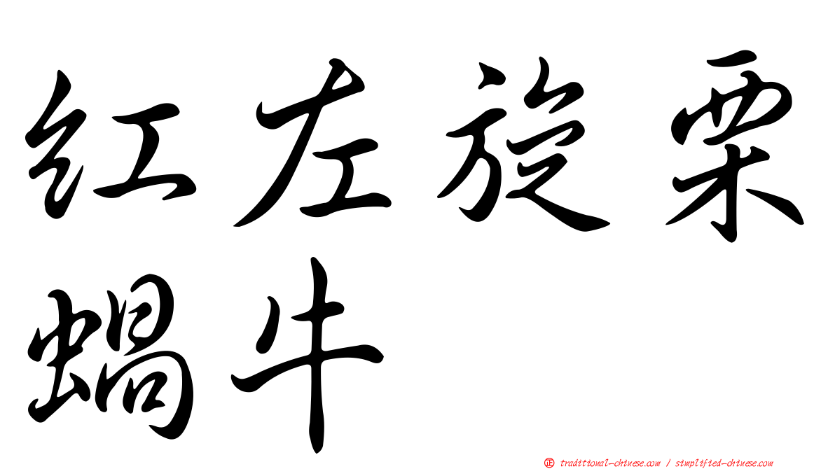 紅左旋栗蝸牛
