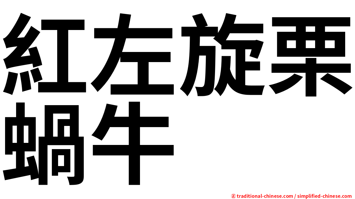 紅左旋栗蝸牛