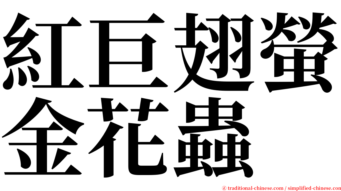 紅巨翅螢金花蟲 serif font