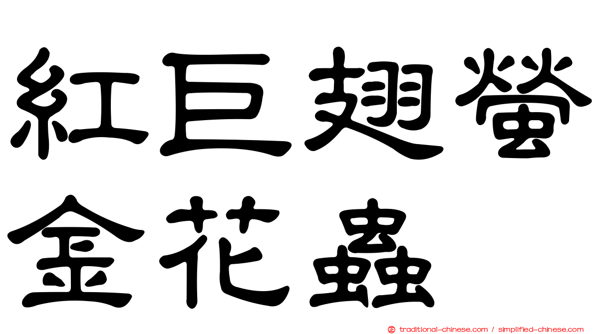 紅巨翅螢金花蟲
