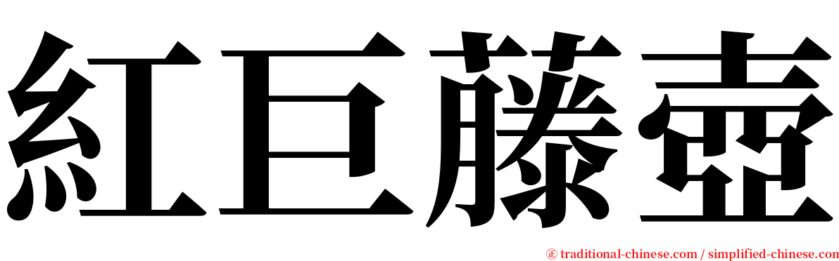 紅巨藤壺 serif font