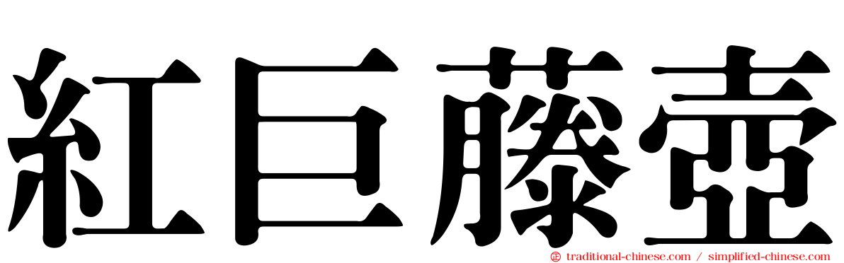 紅巨藤壺
